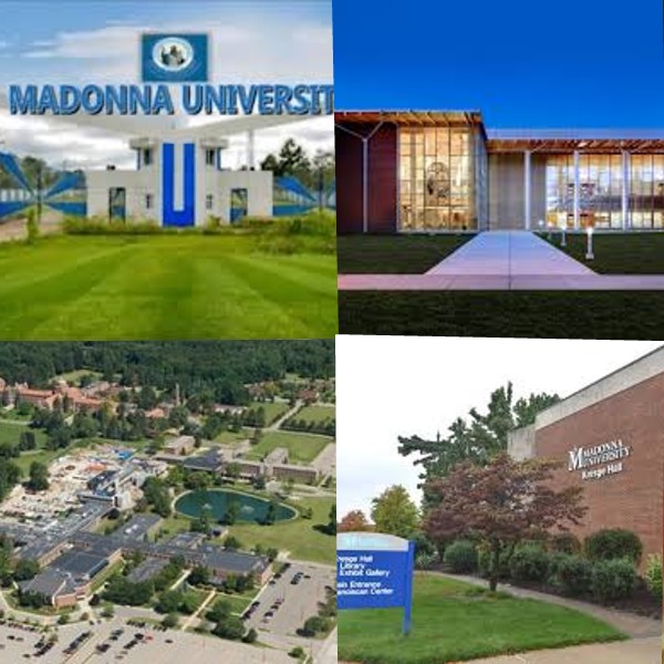 Madonna University’de Eğitim